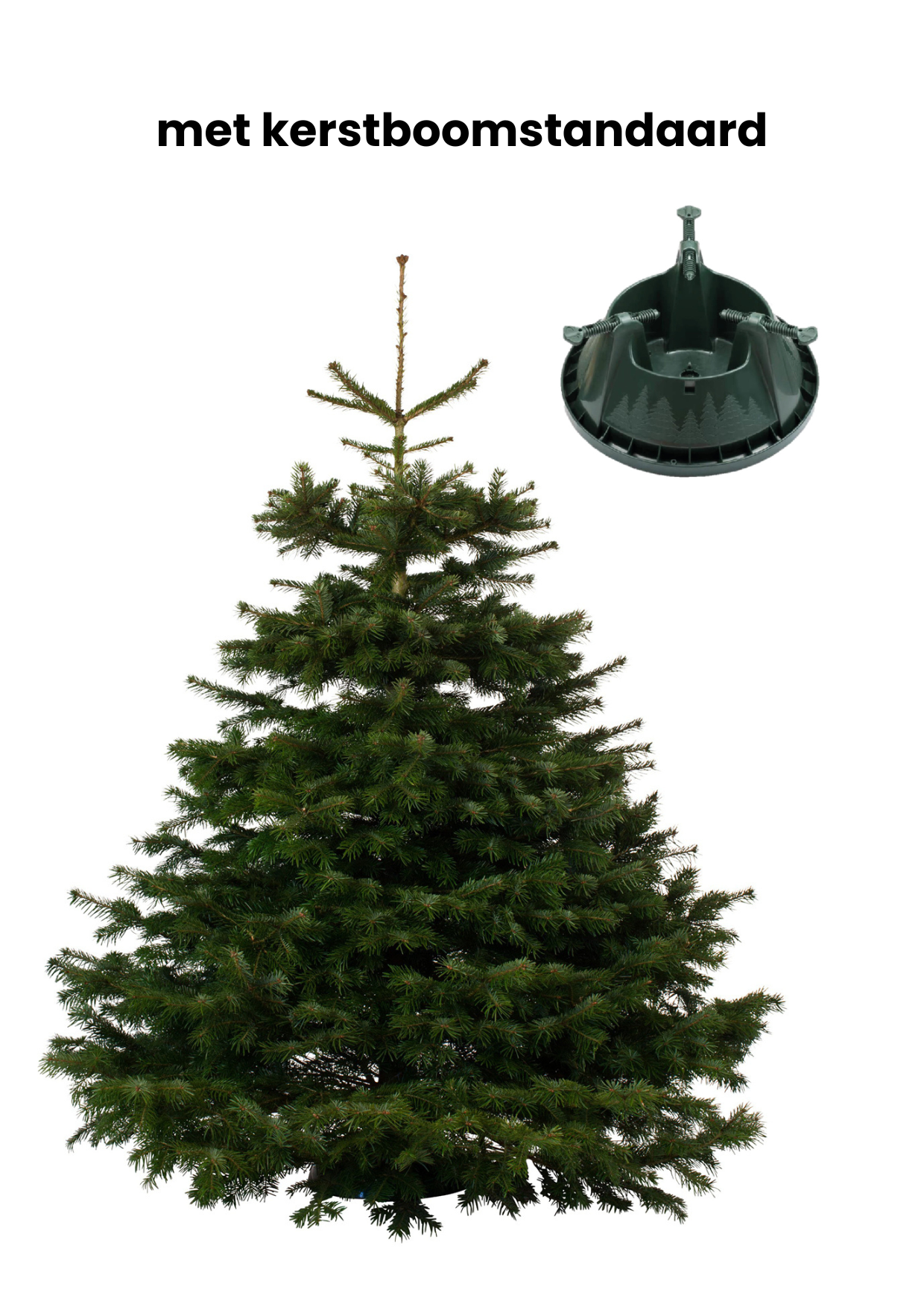 Abies Nordmann Supreme met kerstboomstandaard