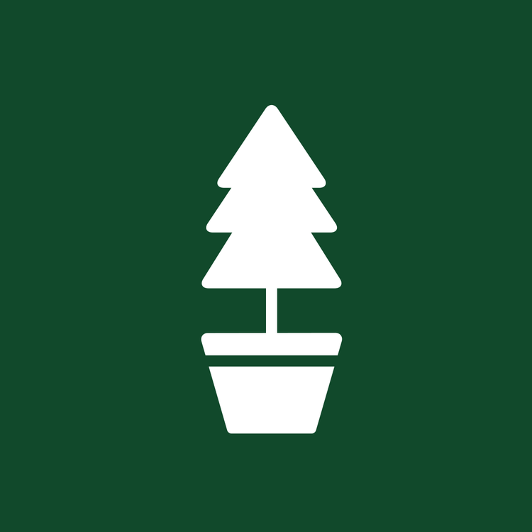 Potgekweekte bomen